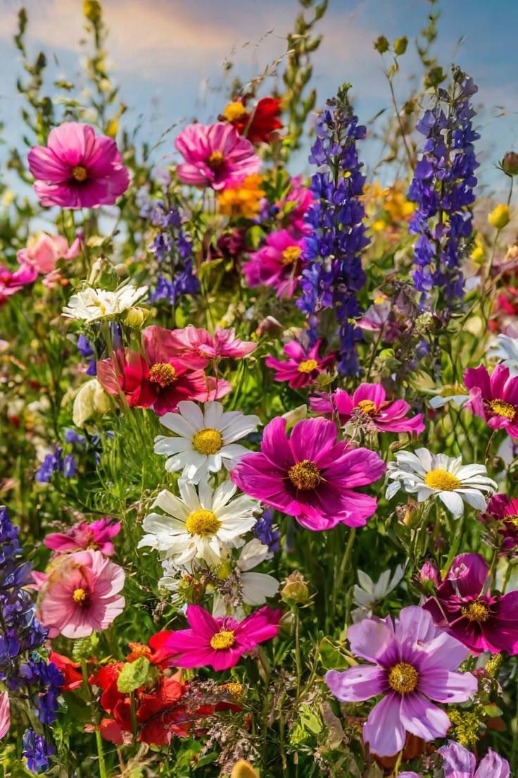 Mystic Ocean Breeze Floral Array